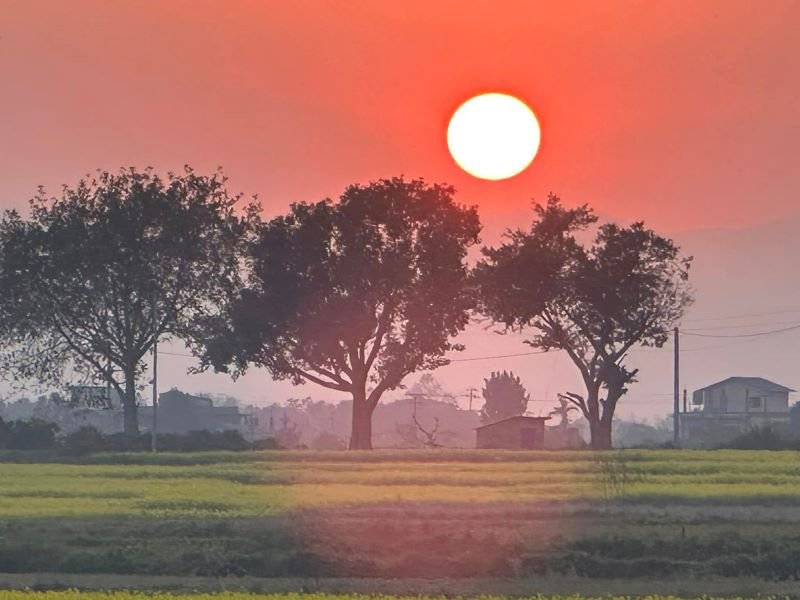 आज सूर्यदेवको विशेष पूजा आराधना गरिँदै